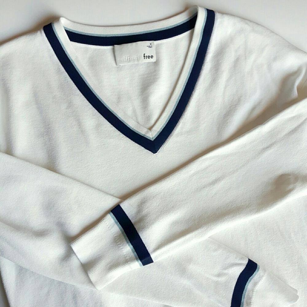 Aritzia Wilfred Free sweater